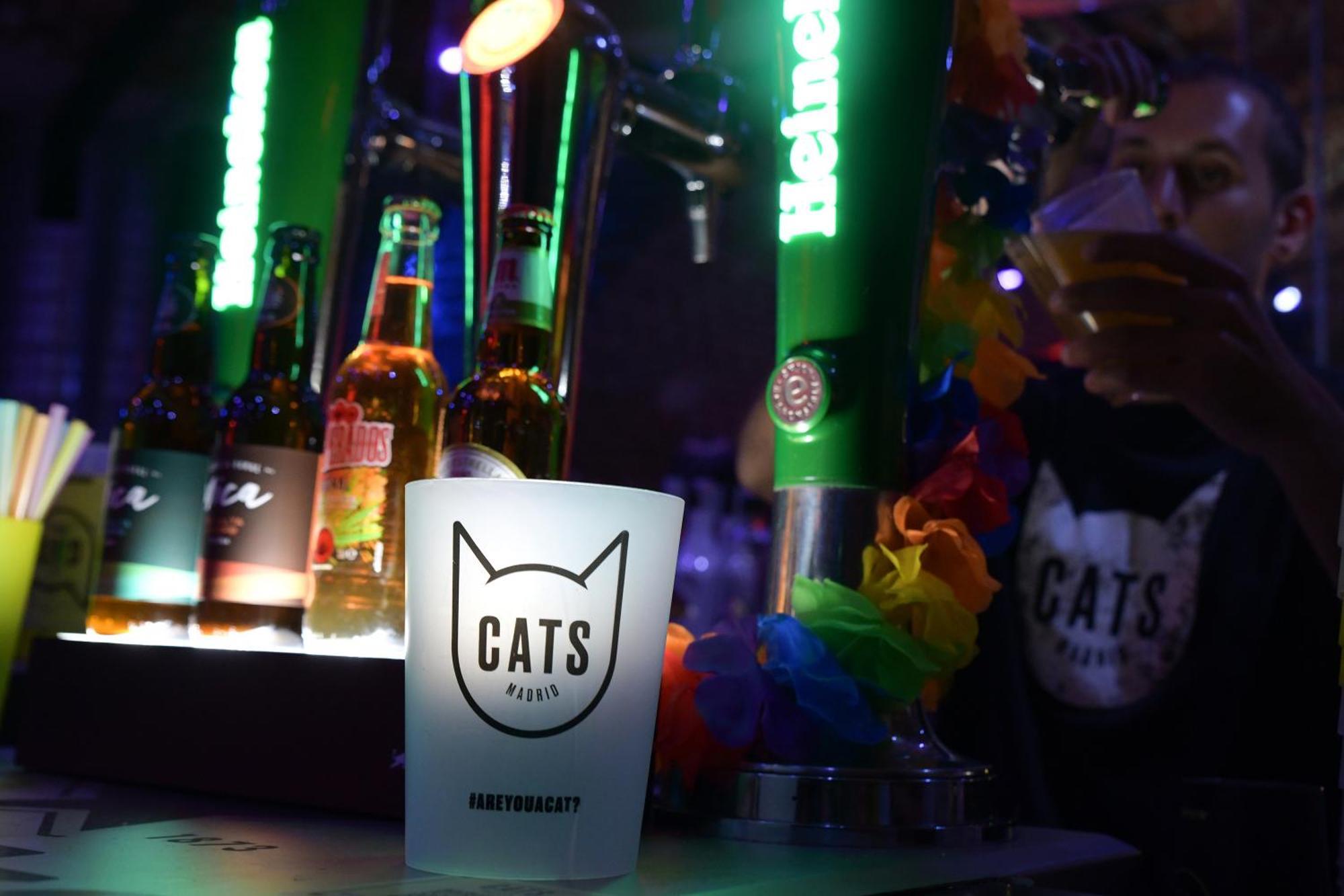 Cats Hostel Madrid Sol — Foto 3